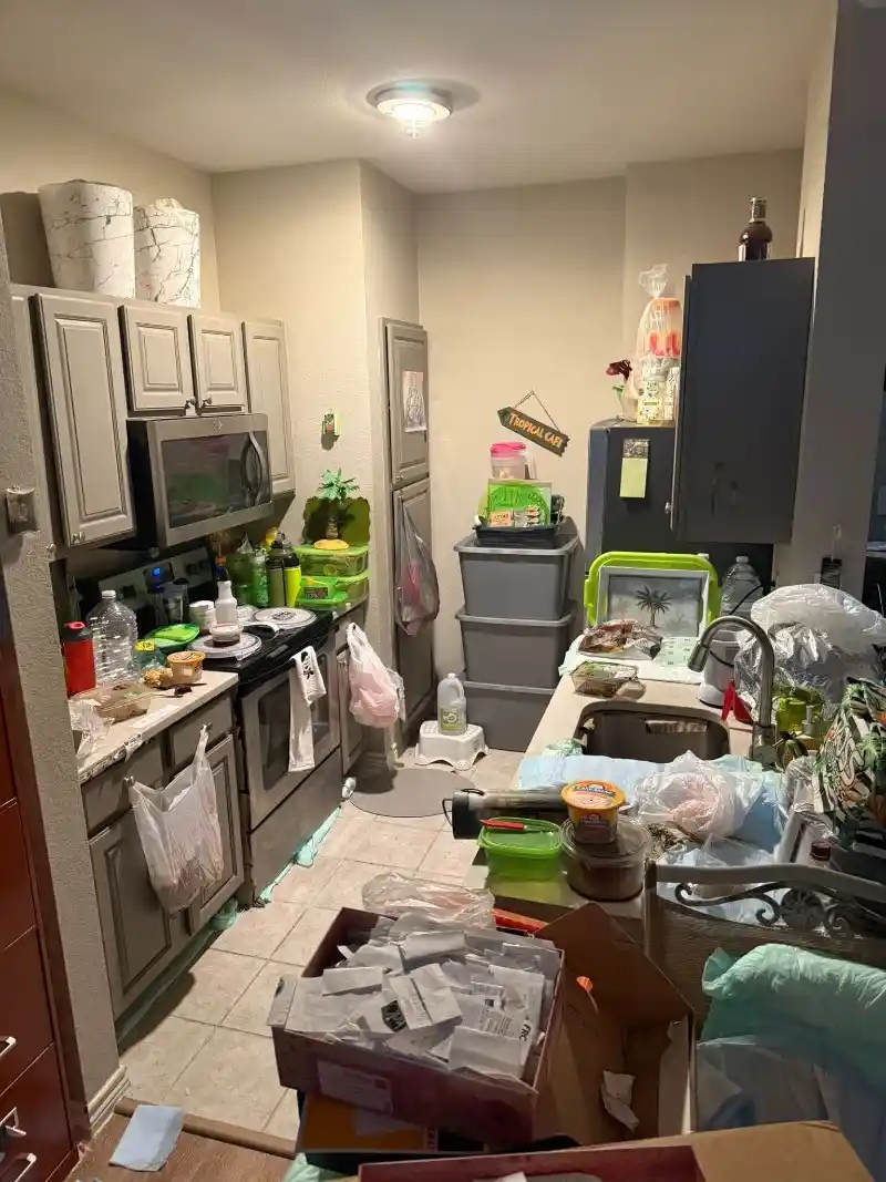 Stove-Oven-and-Dishwasher-Removal